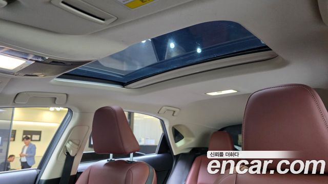 Lexus NX 2017 — photo 18