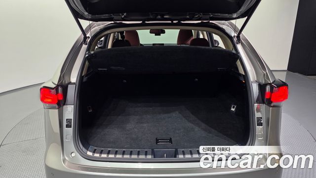 Lexus NX 2017 — photo 20