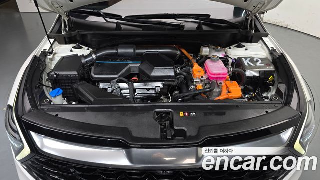 Kia Sportage 2023 — photo 6