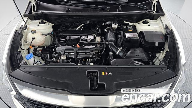 Kia Sportage 2023 — photo 6