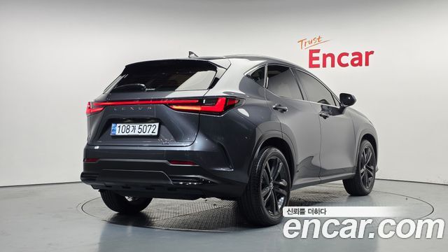 Lexus NX 2025 — photo 2