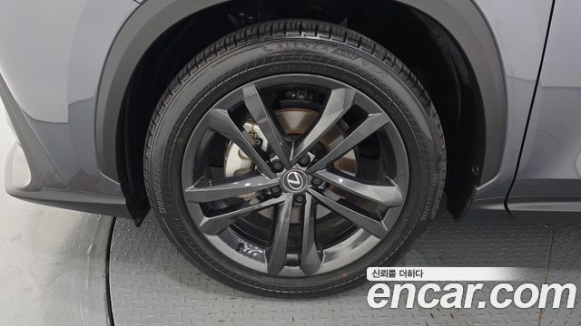 Lexus NX 2025 — photo 5