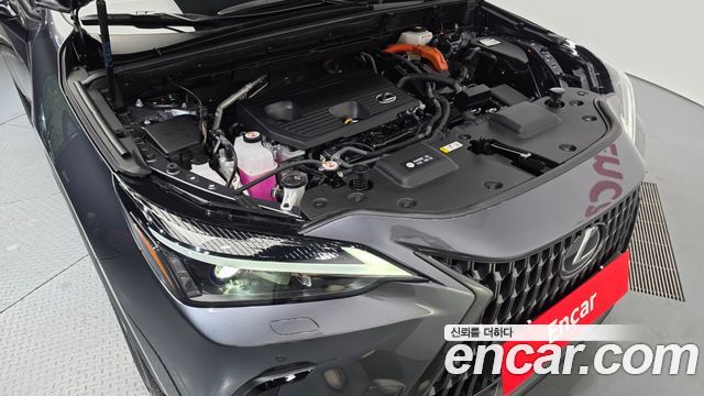 Lexus NX 2025 — photo 6