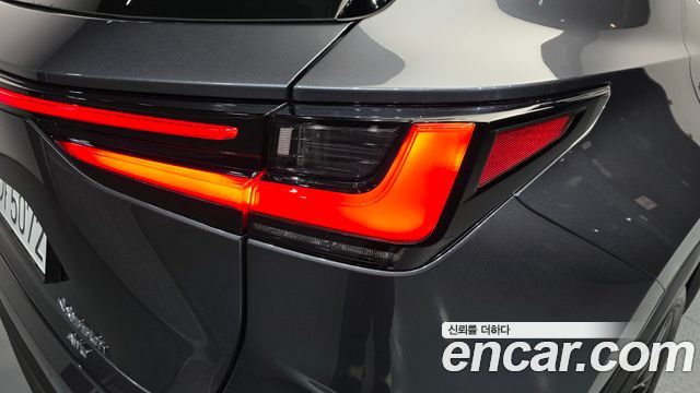 Lexus NX 2025 — photo 9