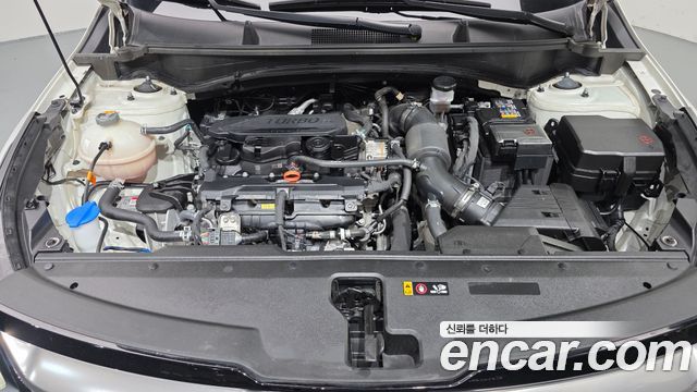 Kia Sportage 2024 — photo 6