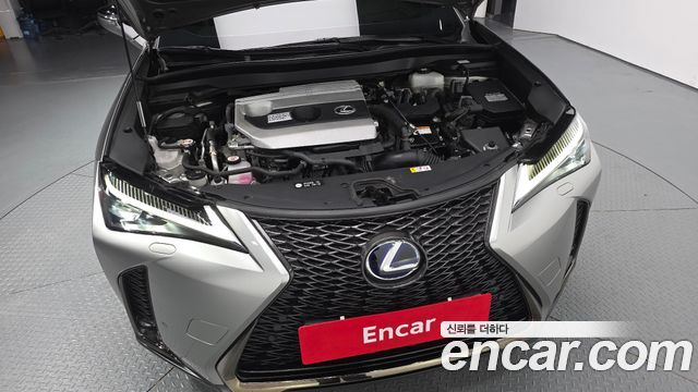 Lexus UX 2021 — photo 6