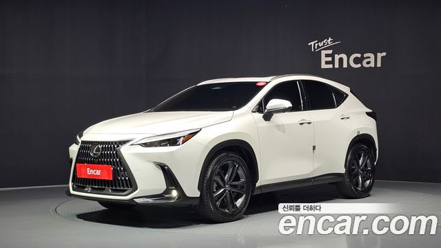 Lexus NX 2024 — photo 1