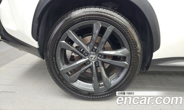 Lexus NX 2024 — photo 5