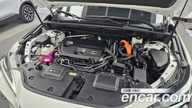 Lexus NX 2024 — photo 6