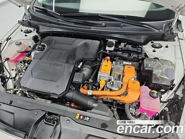 Hyundai AVANTE 2023 — photo 5