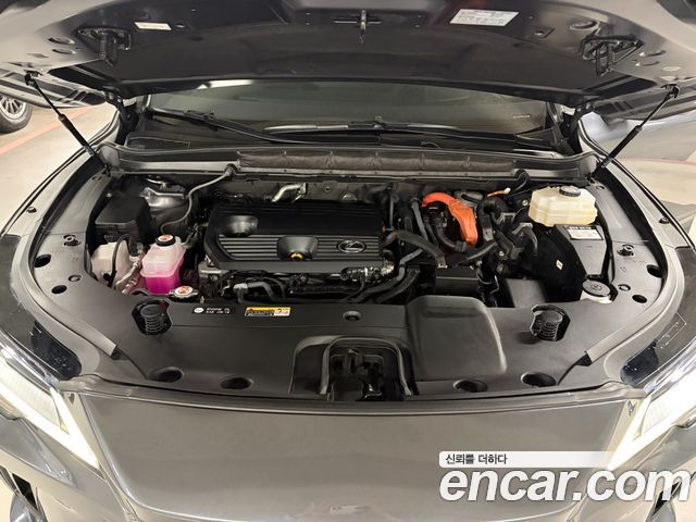 Lexus RX 2023 — photo 5