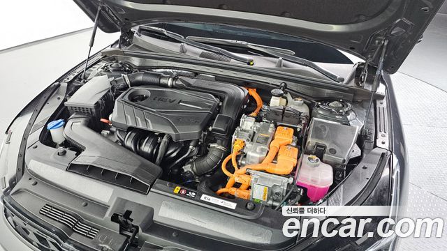Kia K5 2024 — photo 6