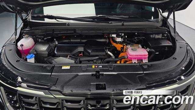 Kia Canival 2024 — photo 6