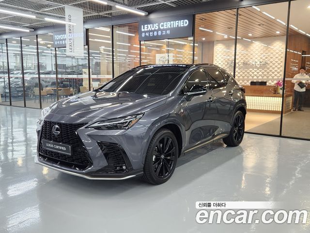 Lexus NX 2025 — photo 1