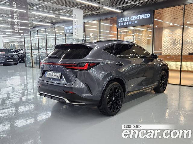 Lexus NX 2025 — photo 2