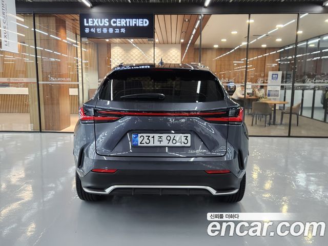 Lexus NX 2025 — photo 4