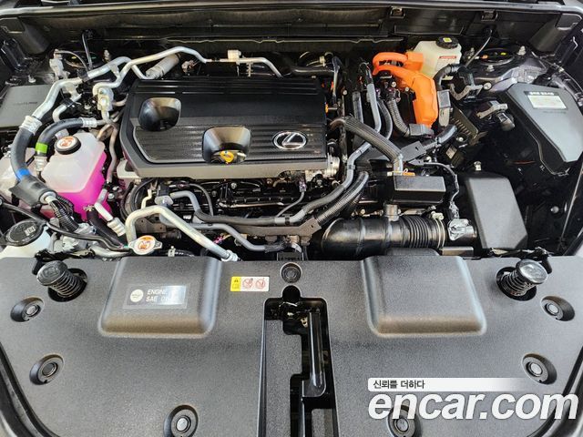 Lexus NX 2025 — photo 6