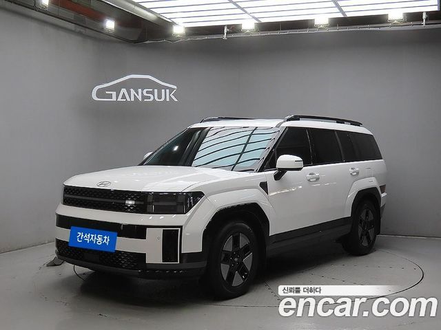 Hyundai Santafe 2024 — photo 1