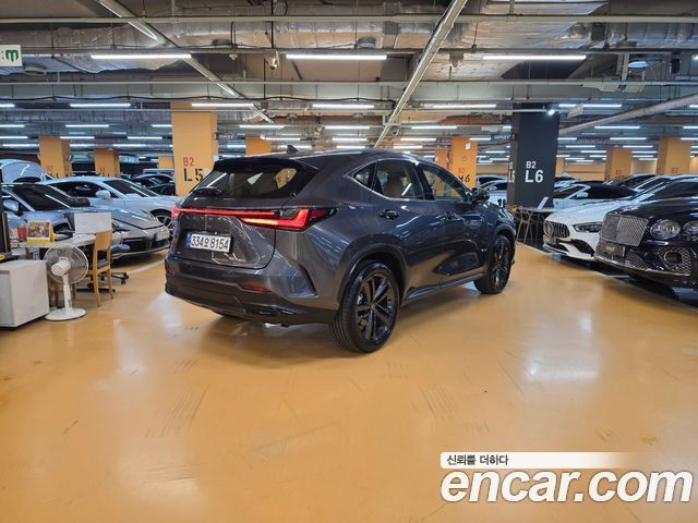 Lexus NX 2026 — photo 2