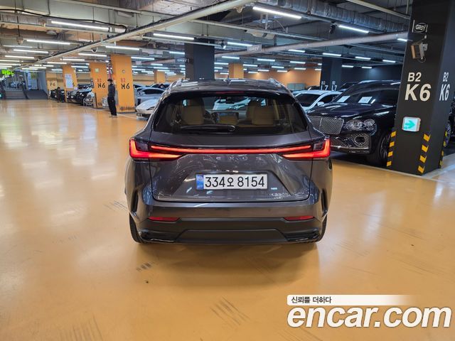 Lexus NX 2026 — photo 4