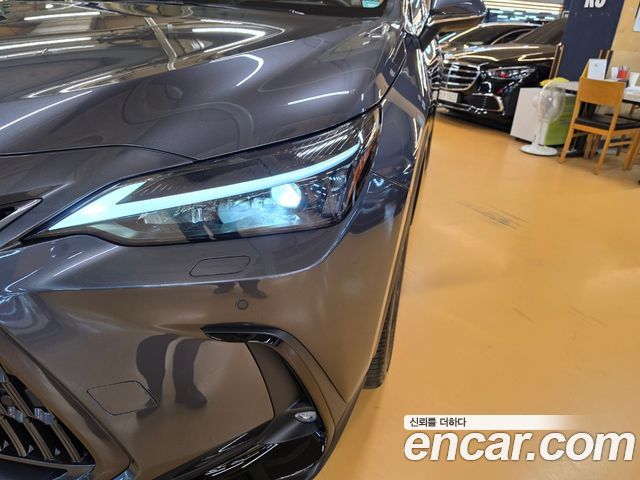 Lexus NX 2026 — photo 16