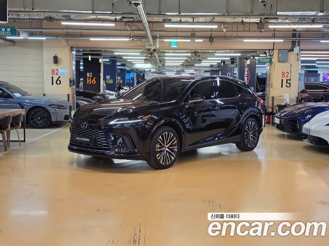Lexus RX 2025 — photo 1