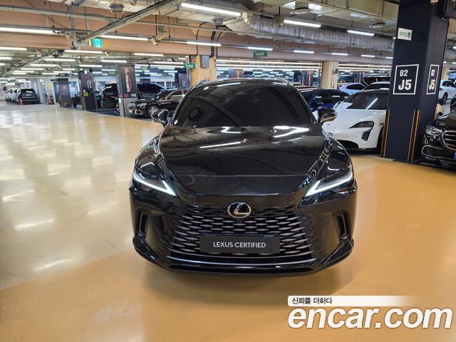 Lexus RX 2025 — photo 3