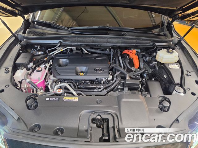 Lexus RX 2025 — photo 6