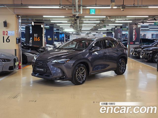 Lexus NX 2025 — photo 1