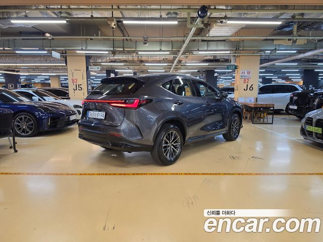 Lexus NX 2025 — photo 2