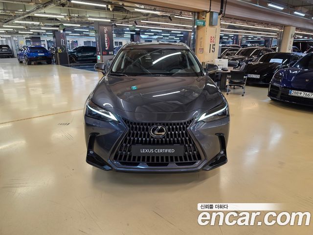 Lexus NX 2025 — photo 3