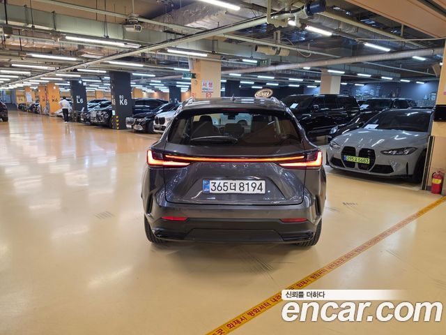 Lexus NX 2025 — photo 4