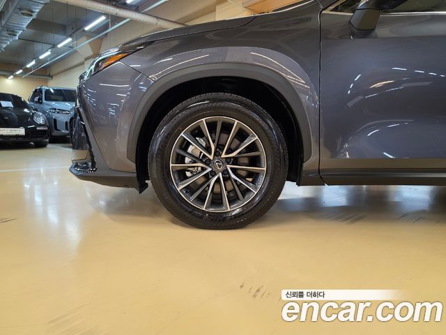 Lexus NX 2025 — photo 5