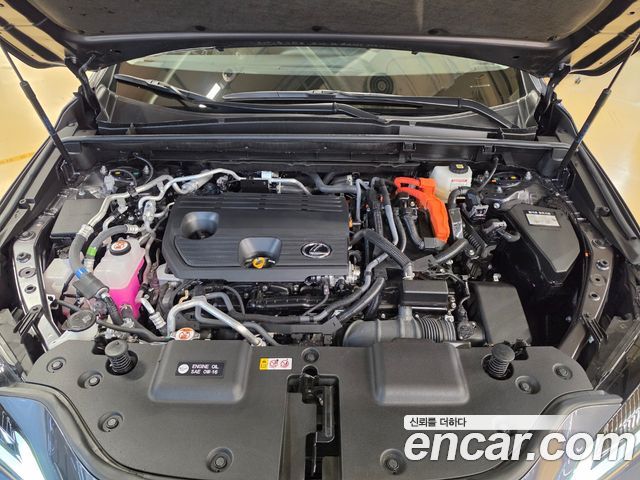Lexus NX 2025 — photo 6