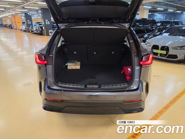 Lexus NX 2025 — photo 16