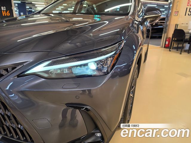 Lexus NX 2025 — photo 17
