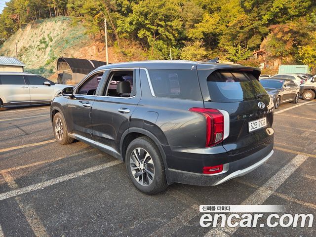 Hyundai Palisade 2019 — photo 4