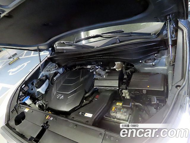 Hyundai Palisade 2019 — photo 19