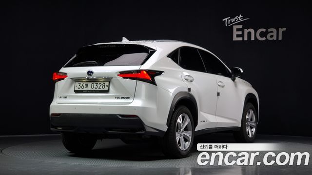 Lexus NX 2017 — photo 2