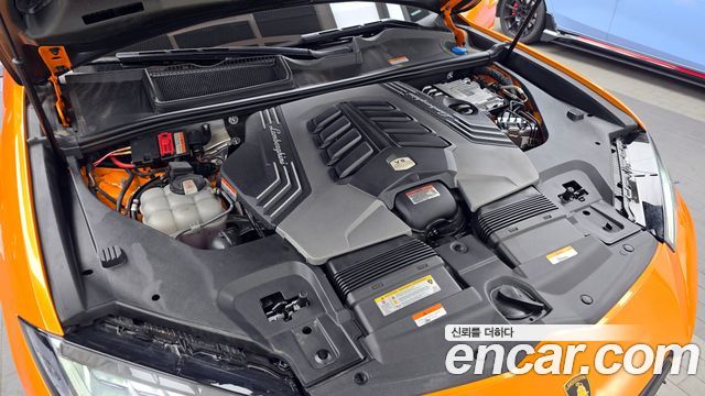 Lamborghini Urus 2024 — photo 6