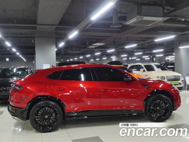 Lamborghini Urus 2025 — photo 2