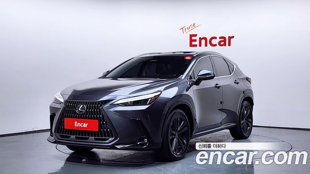 Lexus NX 2024 — photo 1