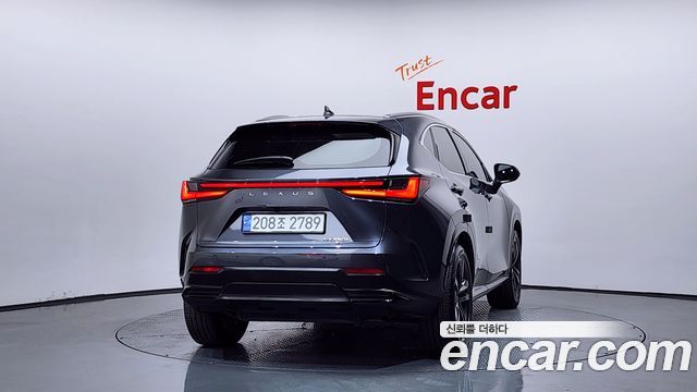 Lexus NX 2024 — photo 4