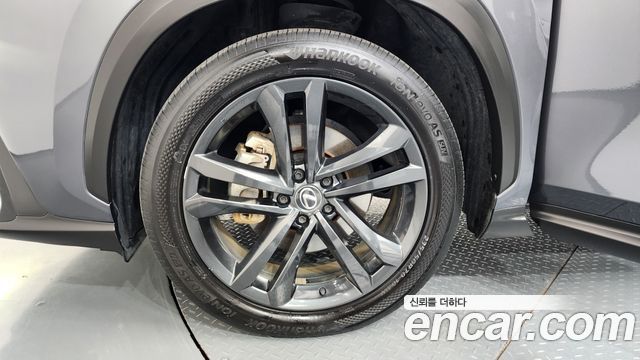 Lexus NX 2024 — photo 5