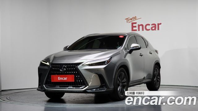 Lexus NX 2023 — photo 1