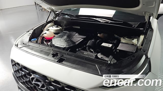 Hyundai Santafe 2021 — photo 6