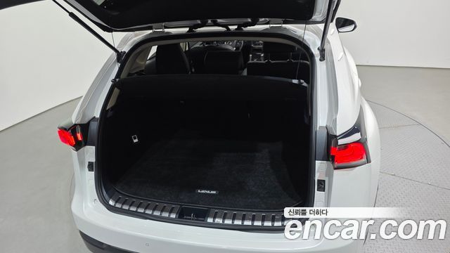 Lexus NX 2017 — photo 20