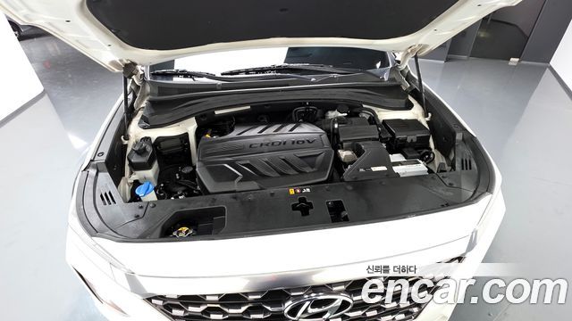 Hyundai Santafe 2019 — photo 6
