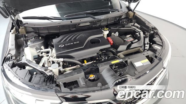 Renault Korea QM6 2022 — photo 6