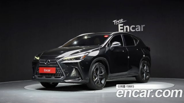 Lexus NX 2023 — photo 1